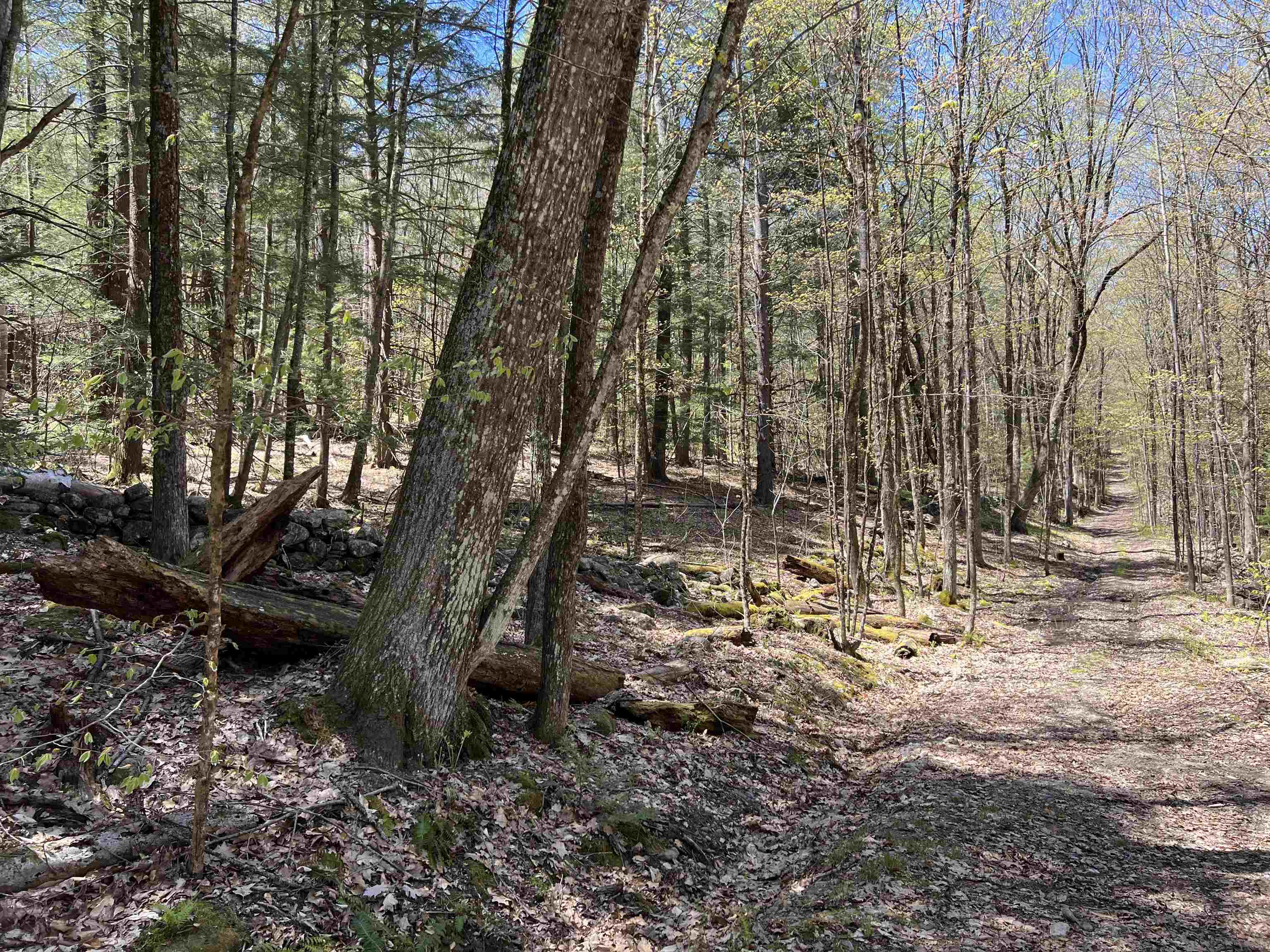 0 Ramsay Hill Road Walpole, NH 03608 - Photo 8 of 20