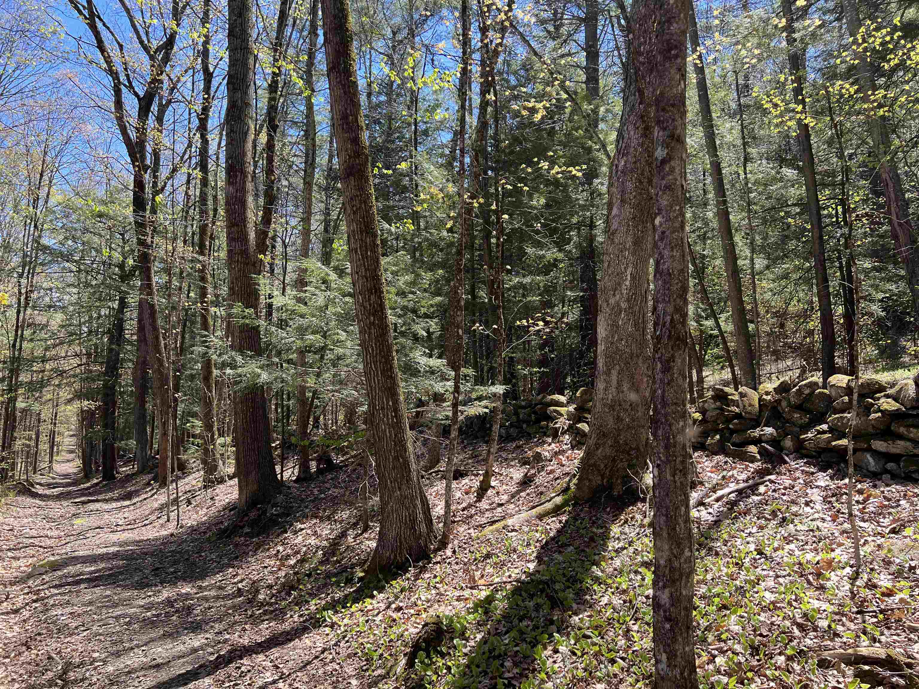 0 Ramsay Hill Road Walpole, NH 03608 - Photo 10 of 20
