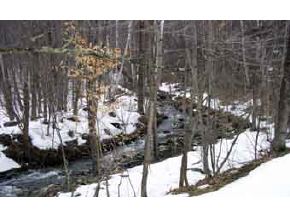 2156 Riford Brook Road Braintree, VT 05060 - Photo 4 of 4