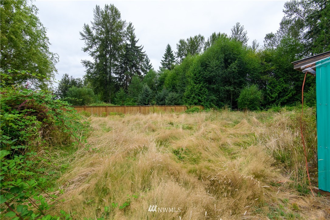2710 Callow Road Lake Stevens, WA 98258 - Photo 8 of 37 a view of a yard with plants and trees