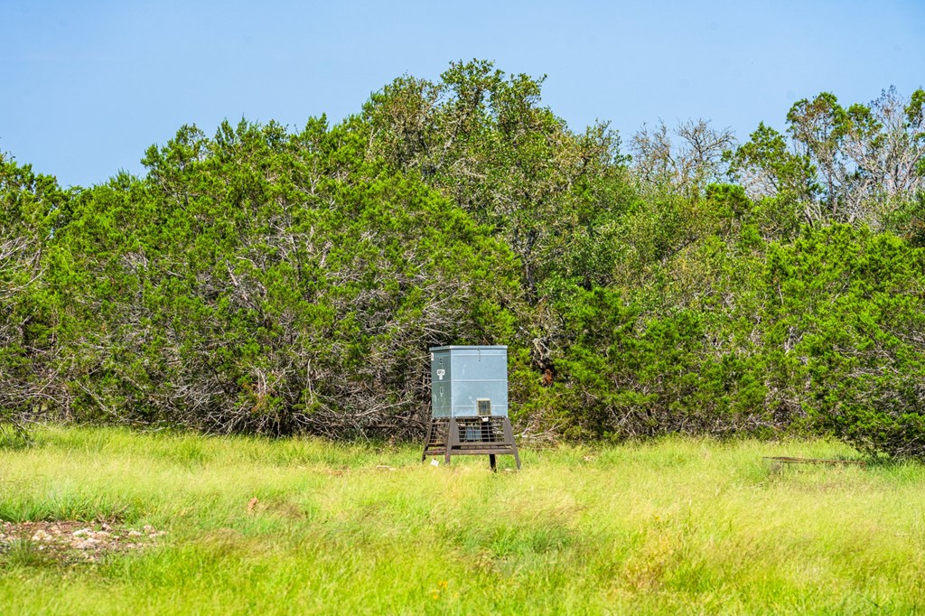 229 Lost Man Road Northwest Junction, TX 76849 - Photo 13 of 32 a view of a garden