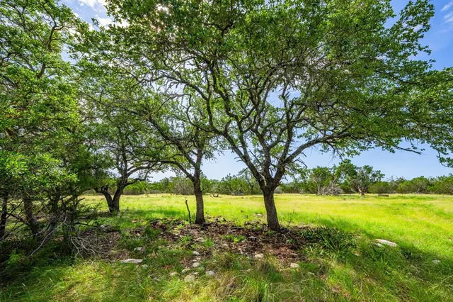 a view of a field with a tree