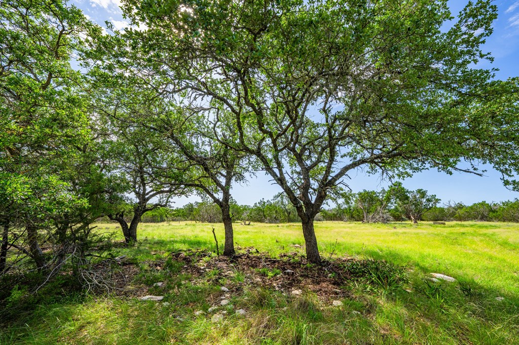 229 Lost Man Road Northwest Junction, TX 76849 - Photo 14 of 32 a view of yard with trees
