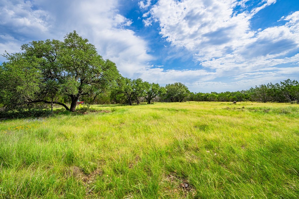 229 Lost Man Road Northwest Junction, TX 76849 - Photo 17 of 32 a view of yard with swimming pool and green space