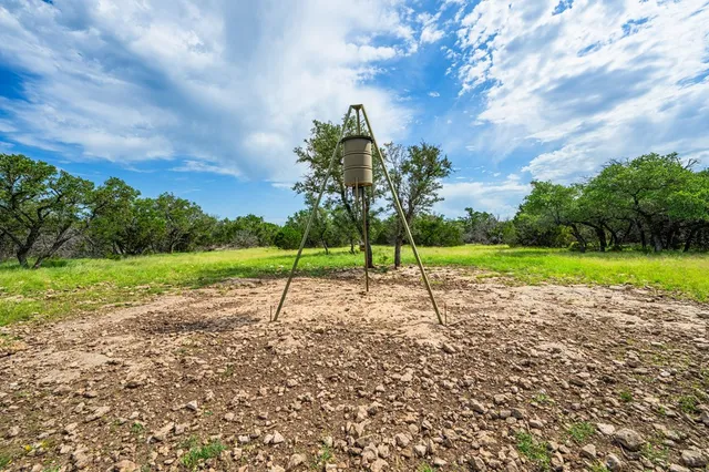 a view of a yard with a swimming pool