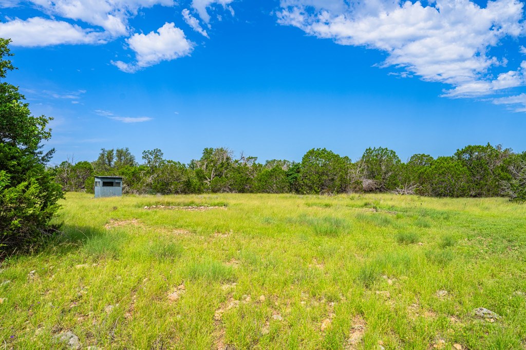 229 Lost Man Road Northwest Junction, TX 76849 - Photo 21 of 32 a view of a yard with an tree and a yard