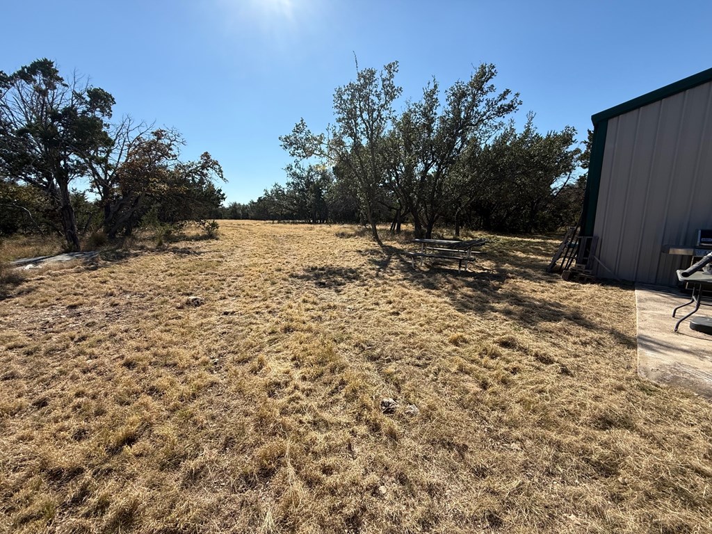 229 Lost Man Road Northwest Junction, TX 76849 - Photo 6 of 32 a view of a yard with a tree