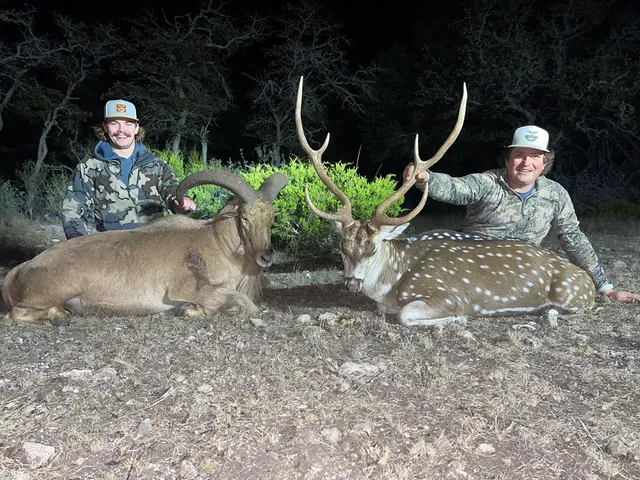 a view of a backyard with plants and a garden