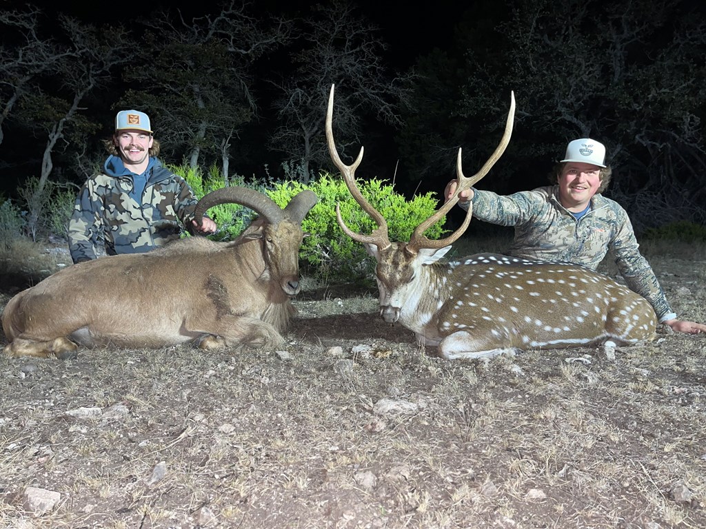 229 Lost Man Road Northwest Junction, TX 76849 - Photo 7 of 32 a view of a backyard with plants and a garden