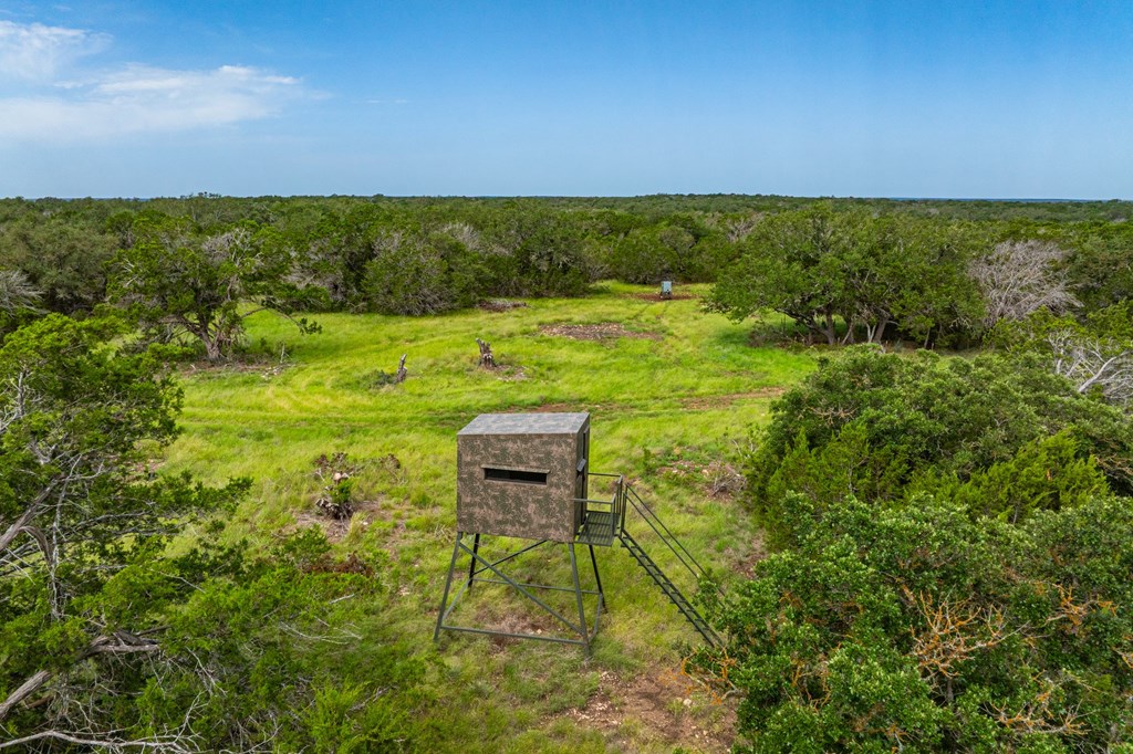 229 Lost Man Road Northwest Junction, TX 76849 - Photo 8 of 32 a view of a garden with a building