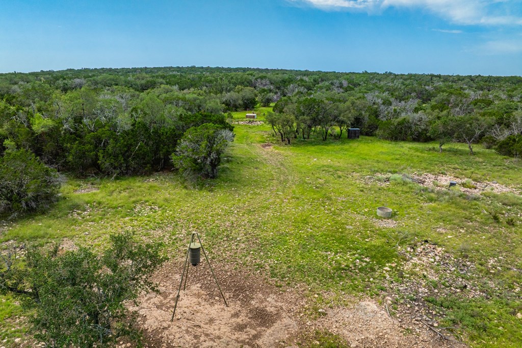 229 Lost Man Road Northwest Junction, TX 76849 - Photo 10 of 32 a view of a garden with a building in the background