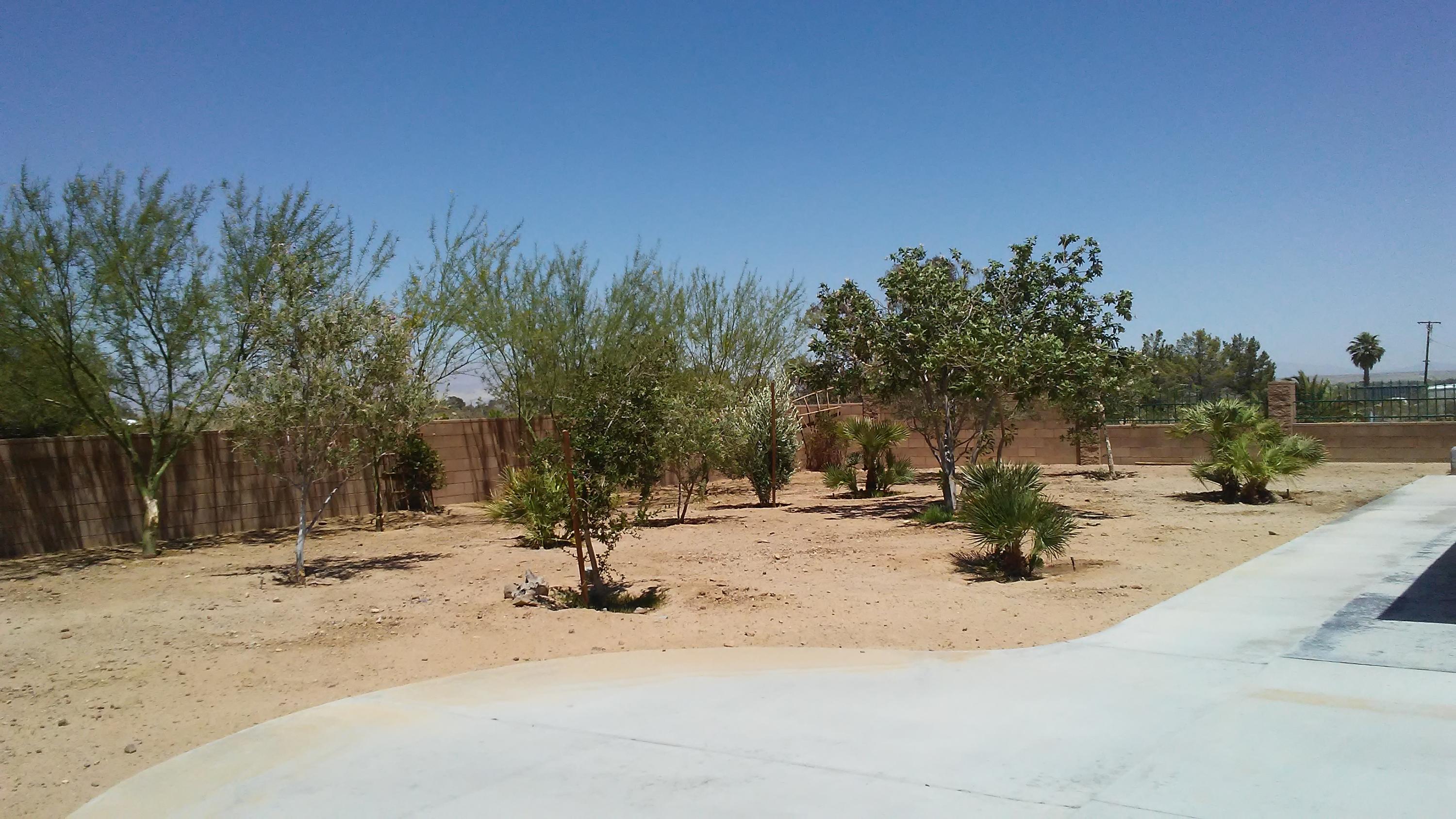 163 North Wildflower Street Ridgecrest, CA 93555 - Photo 60 of 76 59
