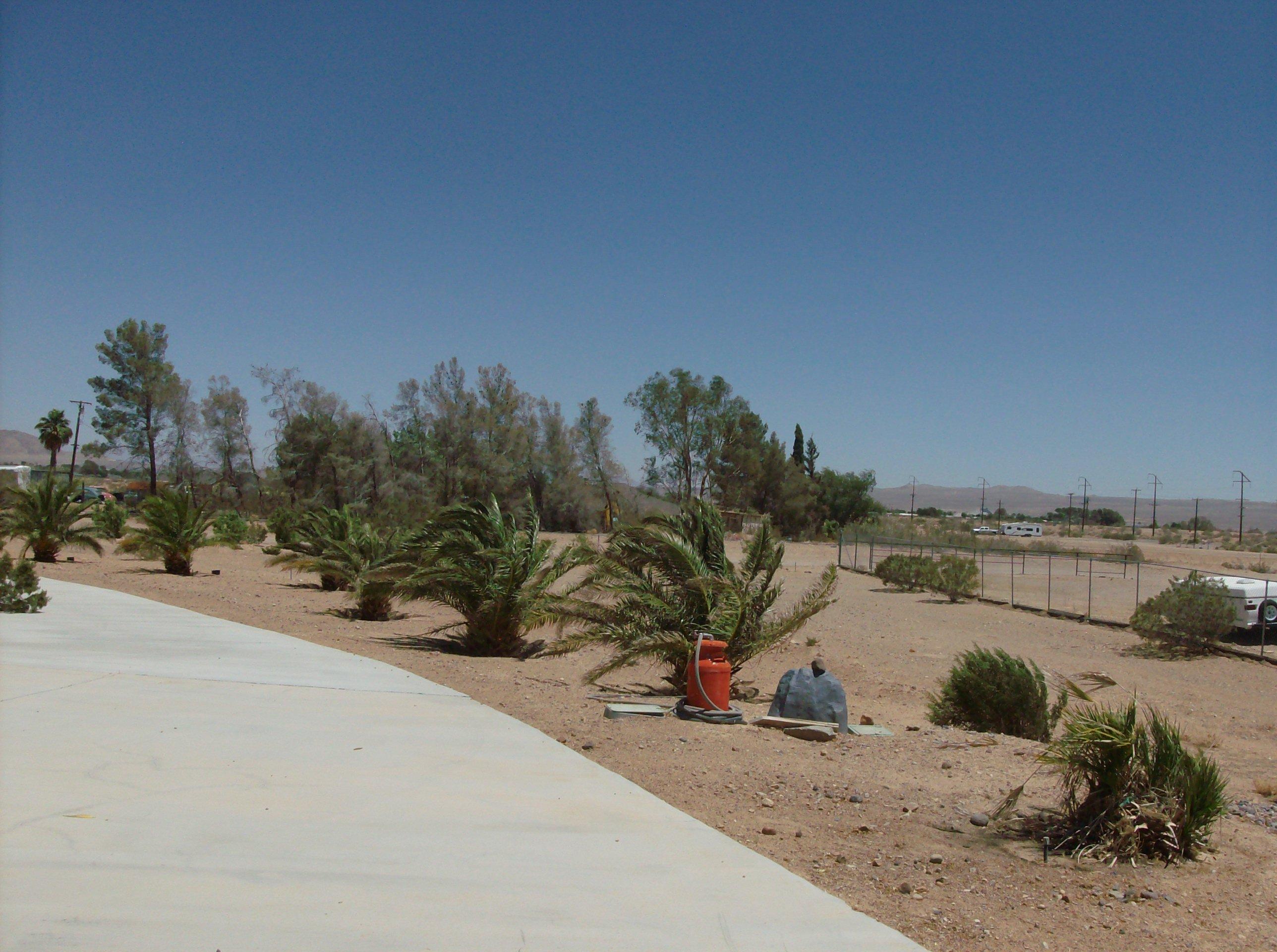 163 North Wildflower Street Ridgecrest, CA 93555 - Photo 76 of 76 HPIM1247
