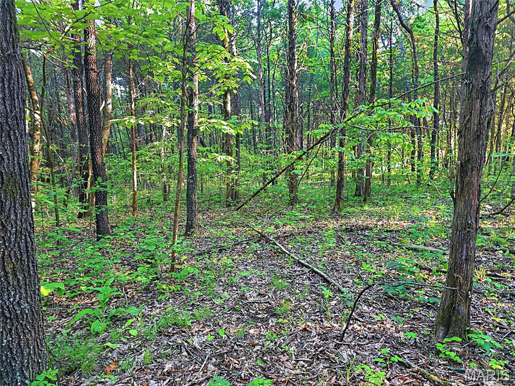 2 Blackwell Heights Road Blackwell, MO 63626 - Photo 28 of 43