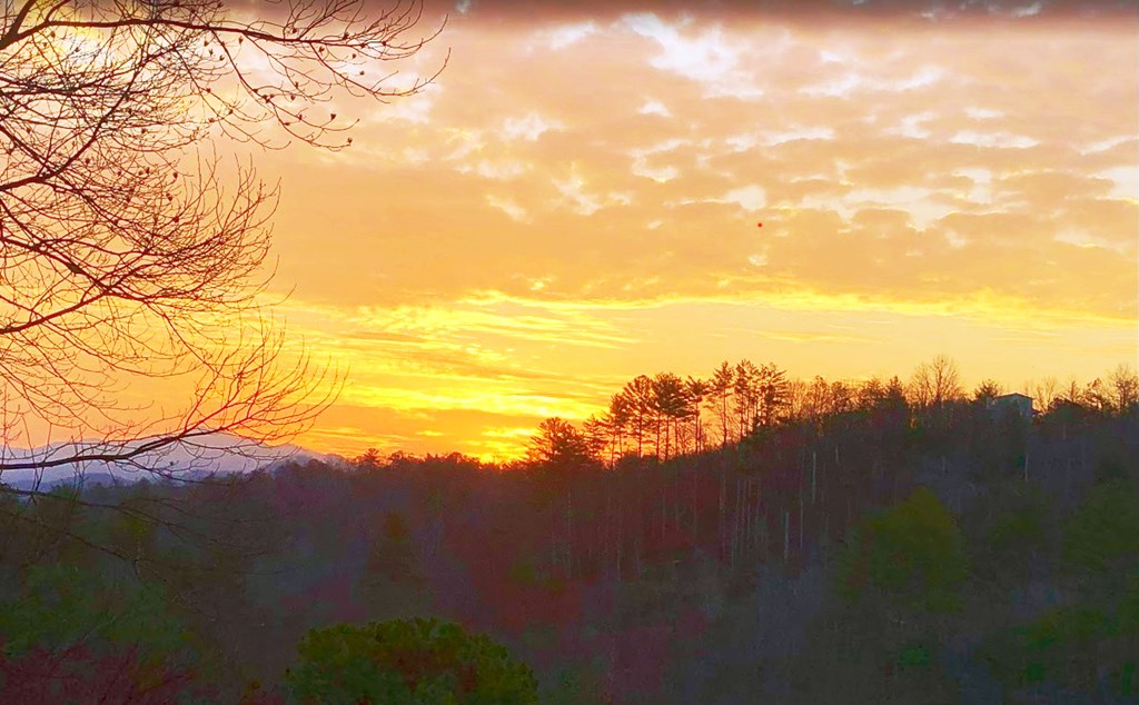 84 Vella Ridge Lane Hayesville, NC 28904 - Photo 4 of 62