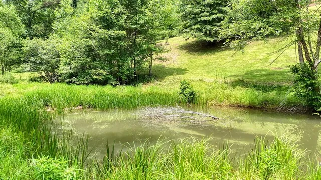 $485,000 | 84 Vella Ridge Lane, Hayesville, NC 28904