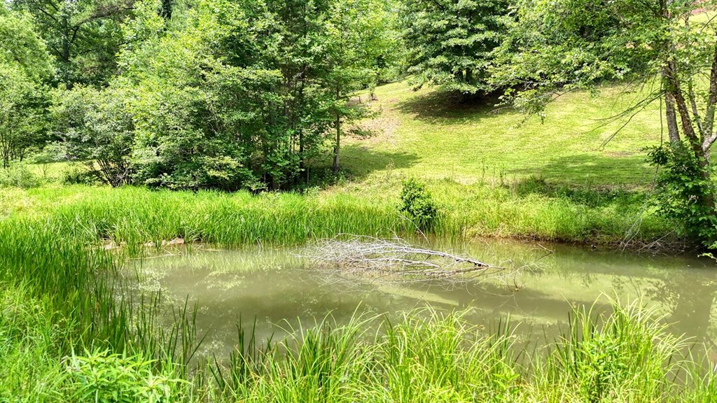 84 Vella Ridge Lane Hayesville, NC 28904 - Photo 56 of 62