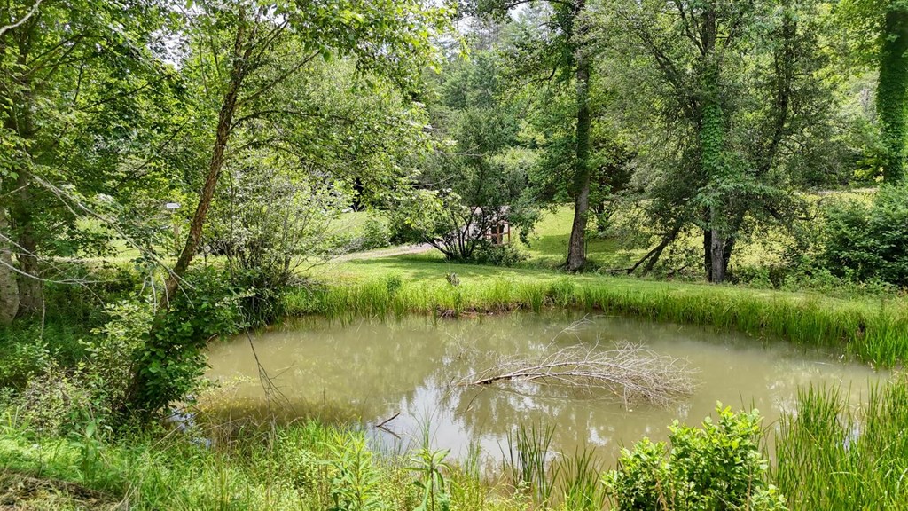 84 Vella Ridge Lane Hayesville, NC 28904 - Photo 57 of 62