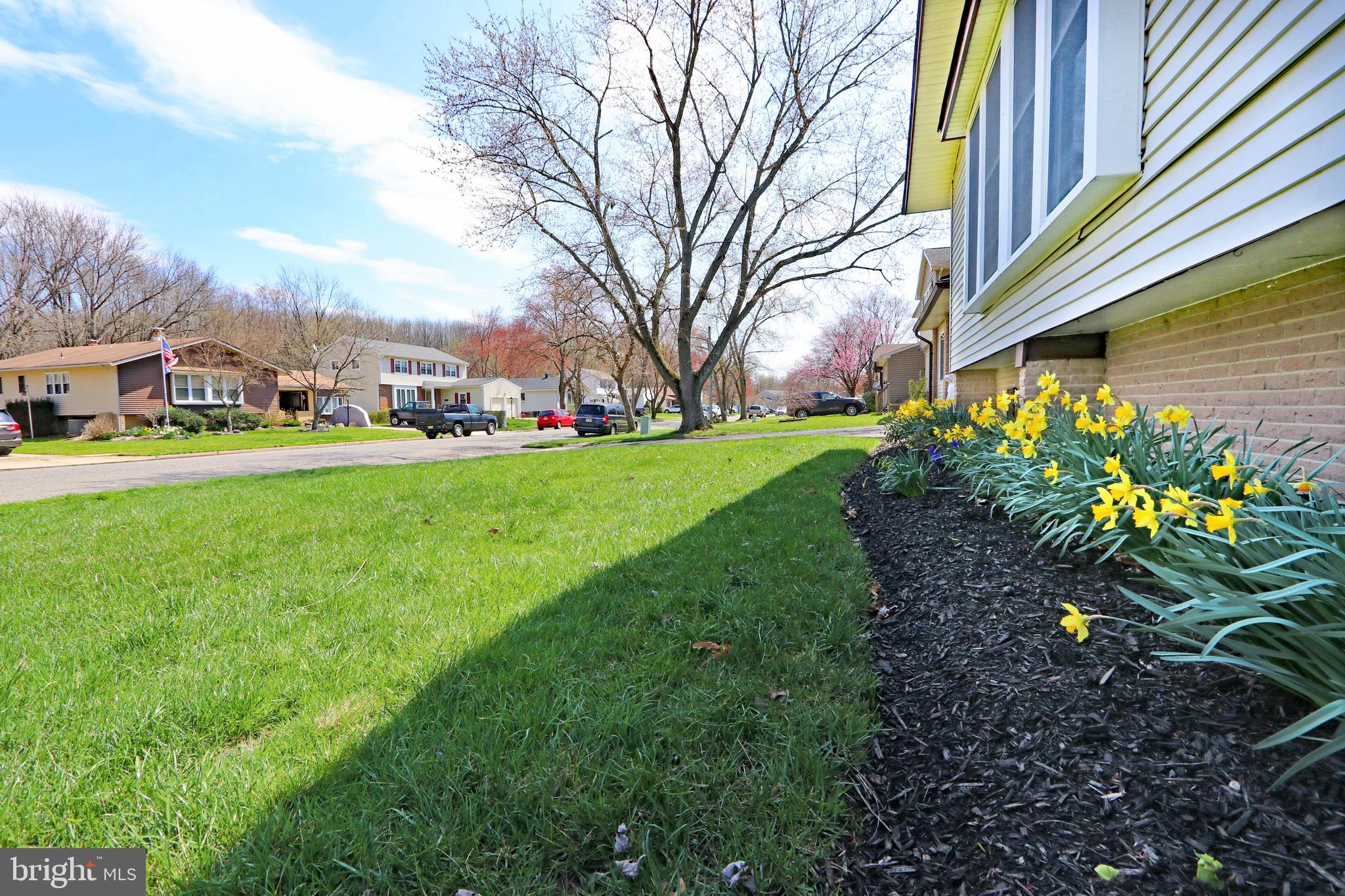 117 Canterbury Road Mount Laurel, NJ 08054 - Photo 42 of 49 Front Flower Bed