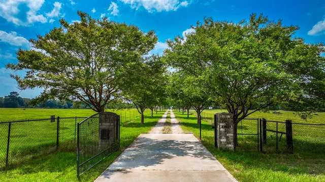 a view of a park with large trees