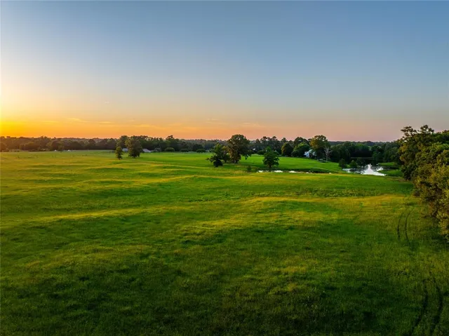 a view of a grassy field with trees
