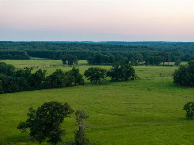 an aerial view of a houses with outdoor space and trees all around