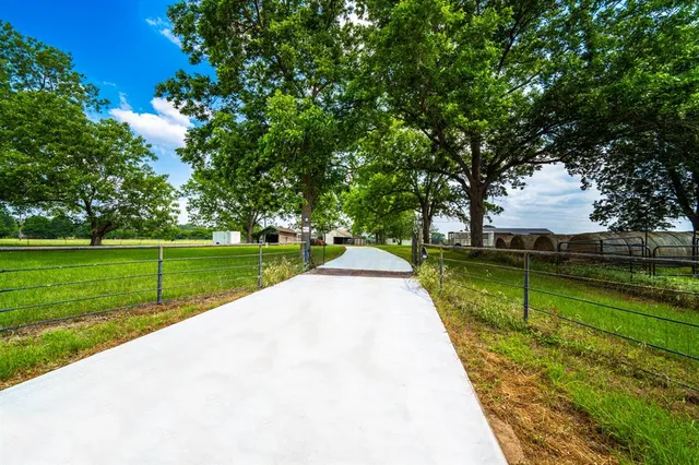 a view of a park with large trees