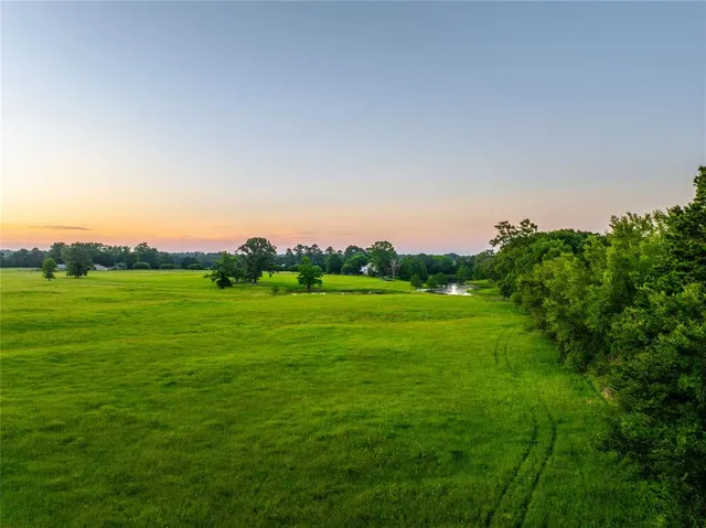 a view of a grassy field with trees