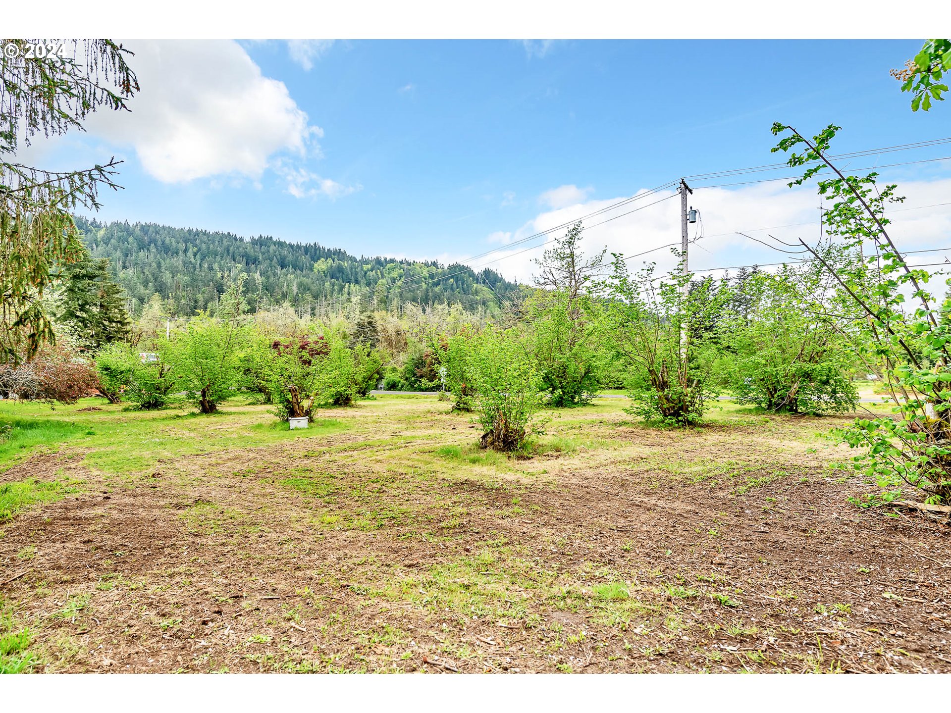 8986 Thurston Road Springfield, OR 97478 - Photo 7 of 40 Gallery Image 7
