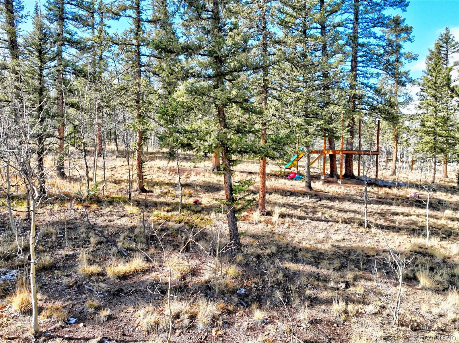 45 Swiggler Road Jefferson, CO 80456 - Photo 41 of 44