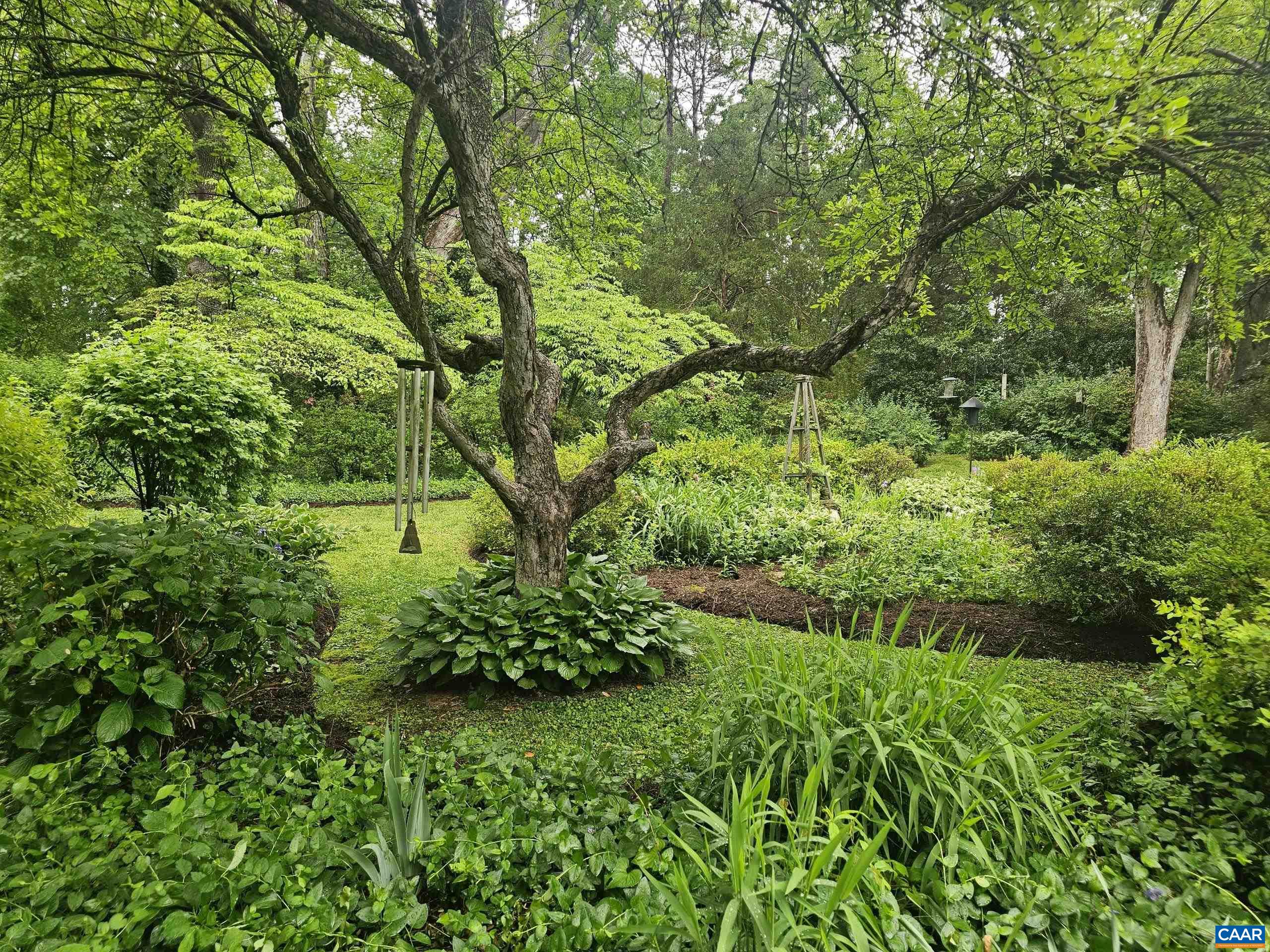 2509 Northfield Road Charlottesville, VA 22901 - Photo 35 of 44 a view of a garden