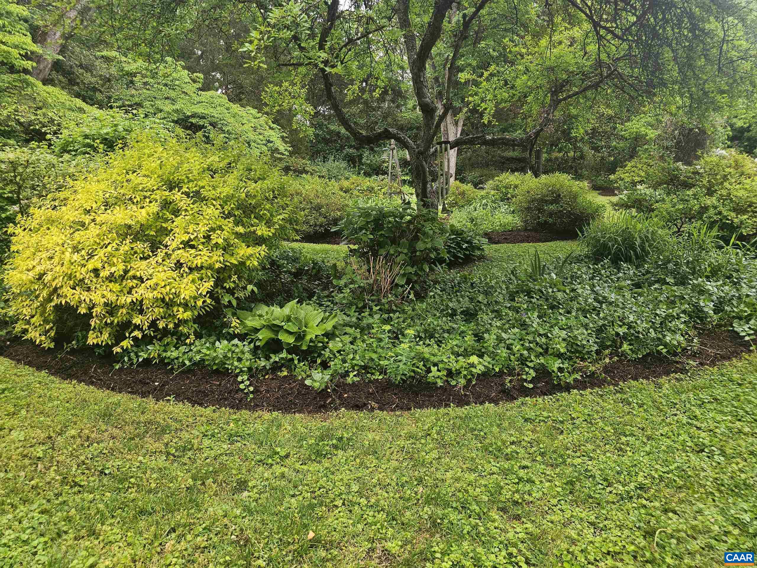 2509 Northfield Road Charlottesville, VA 22901 - Photo 37 of 44 a view of a garden