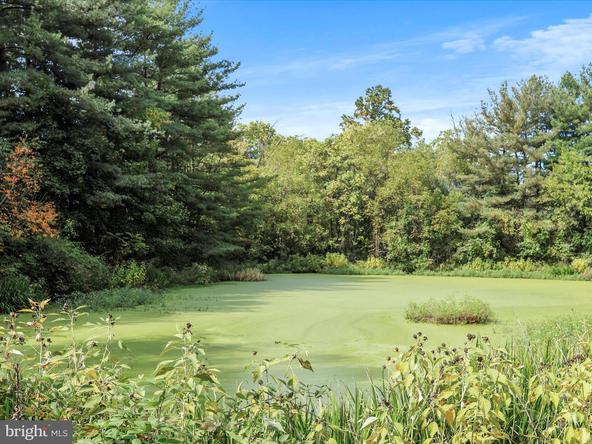 16530 Heather Ridge Road Hagerstown, MD 21740 - Photo 42 of 61 Gallery Image 42