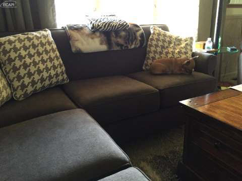 13186 North Linden Road Clio, MI 48420 - Photo 16 of 42 20452574-15.JPG