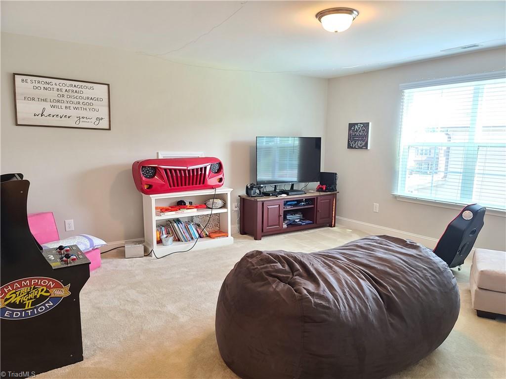 110 Radiant Path Trinity, NC 27370 - Photo 21 of 24 Gallery Image 21