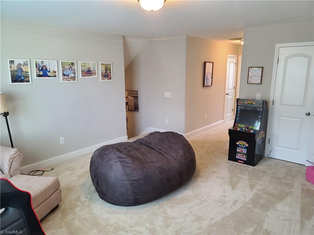 110 Radiant Path Trinity, NC 27370 - Photo 23 of 24 Gallery Image 23