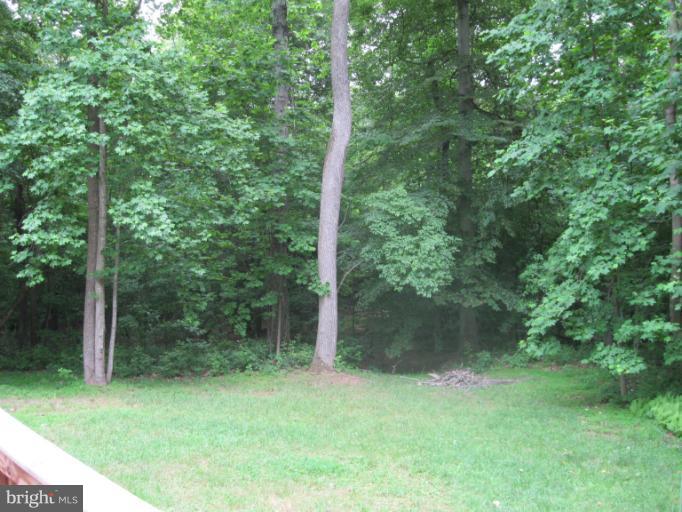 6487 Retreat Road King George, VA 22485 - Photo 8 of 12 Back Yard