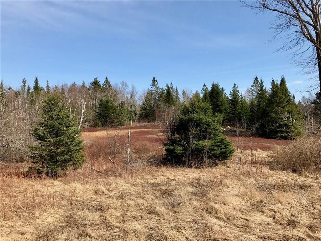 306 Youngs Cove Road Pembroke, ME 04666 - Photo 12 of 19 Photo