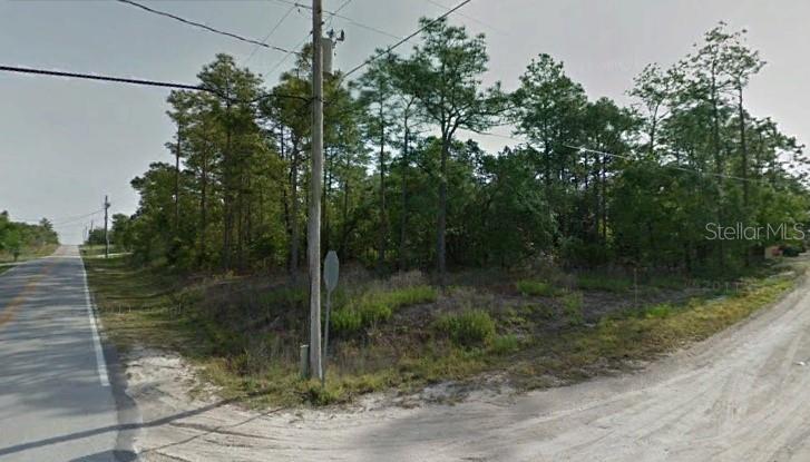 8018 Madrid Road Weeki Wachee, FL 34613 - Photo 1 of 1 a view of a forest