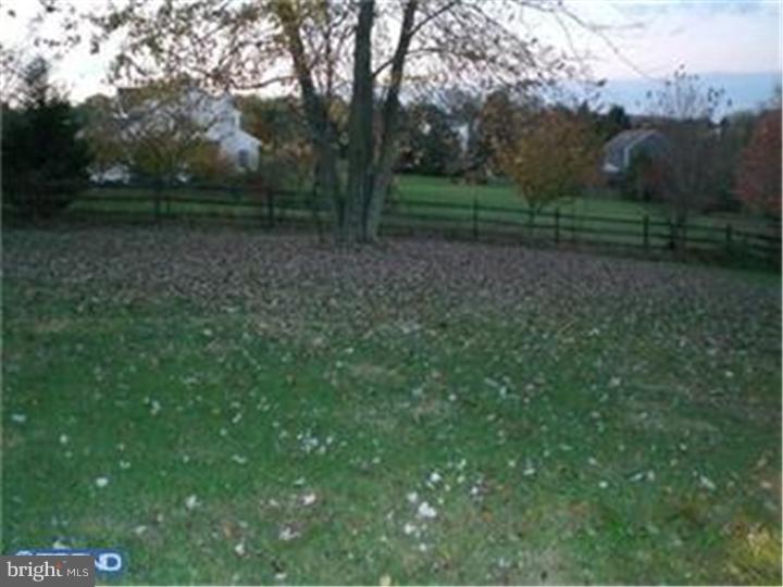 225 Moore Road Downingtown, PA 19335 - Photo 17 of 20 Back Yard
