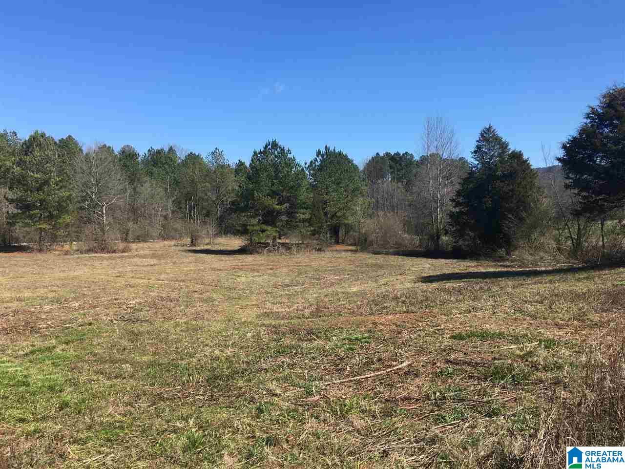 0 Duck Springs Road, Unit 2 PARCELS Attalla, AL 35954 - Photo 2 of 24