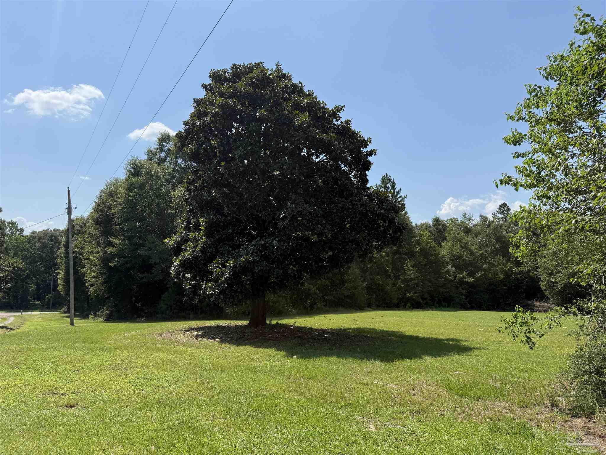 6000 Doran Road McDavid, FL 32568 - Photo 43 of 69