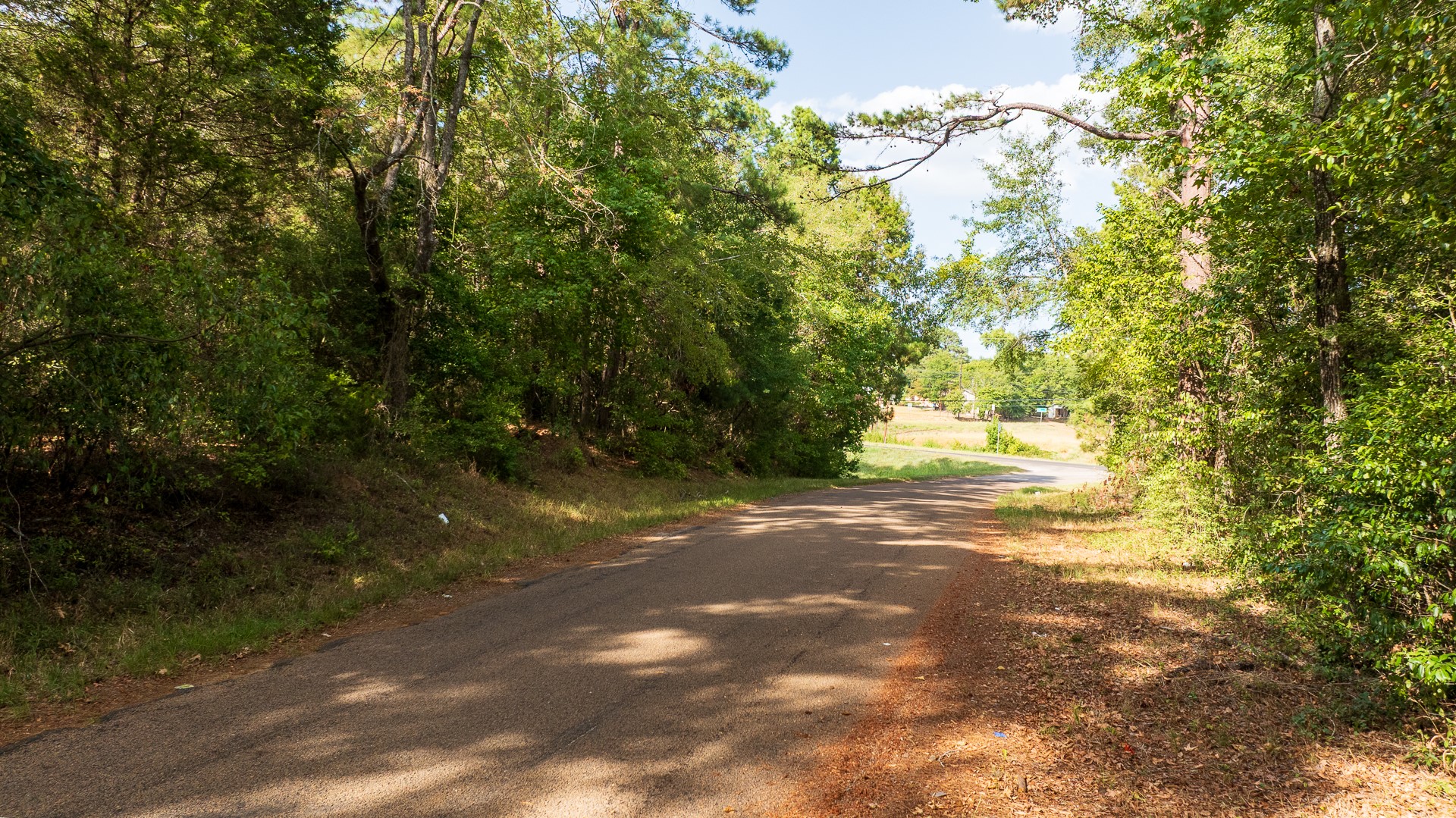 Tbd Tbd Fm-343 Rusk, TX 75785 - Photo 12 of 23 Gallery Image 12
