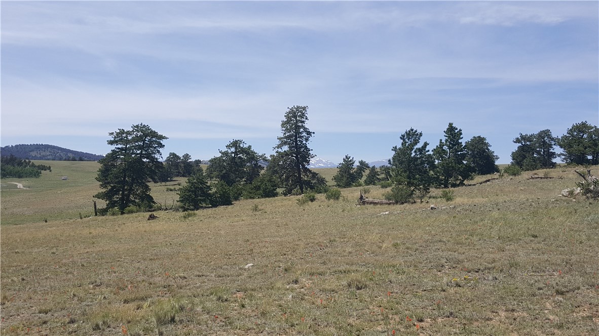 1920 Yellowstone Road Hartsel, CO 80449 - Photo 17 of 17 Gallery Image 17