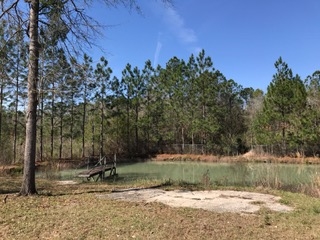 2478 Luke Rivers Road McIntosh, AL 36553 - Photo 16 of 22 Back Yard
