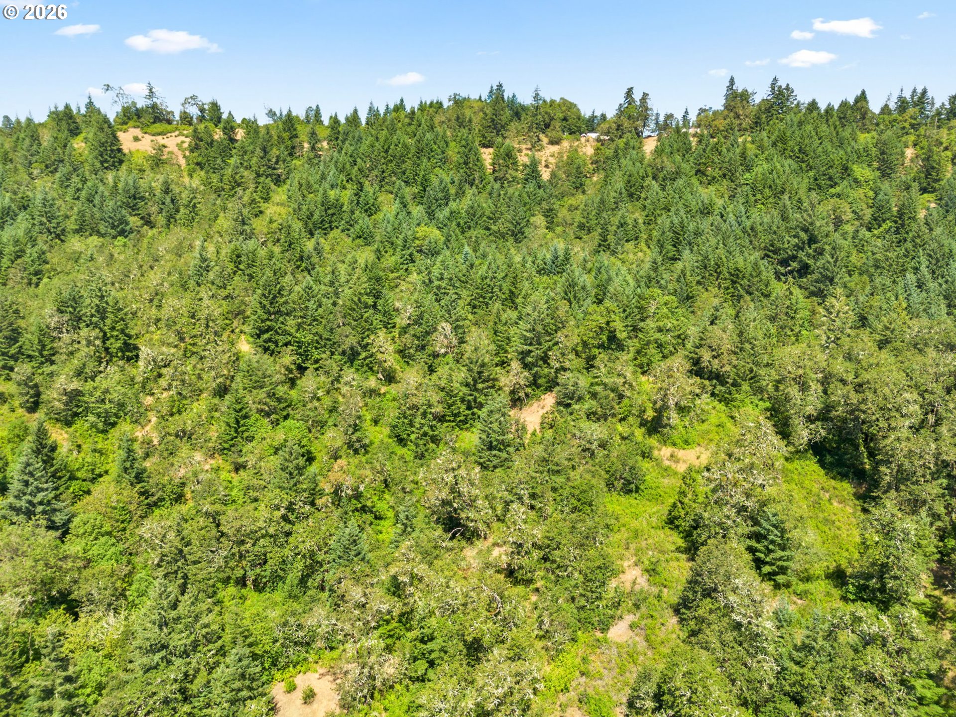 1623 Lower Crest Road Oakland, OR 97462 - Photo 39 of 44