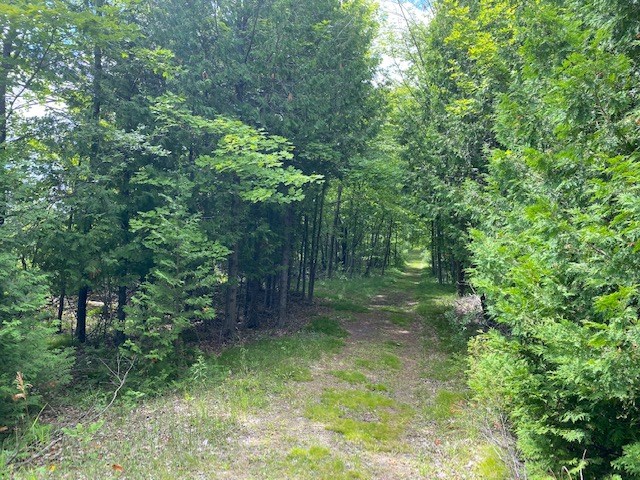 Lot 2 West Meadow Road Fish Creek, WI 54212 - Photo 12 of 40