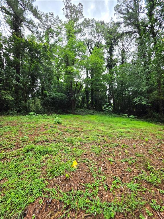 618 Simone Way Stone Mountain, GA 30087 - Photo 6 of 11 a view of a green field with trees in the background