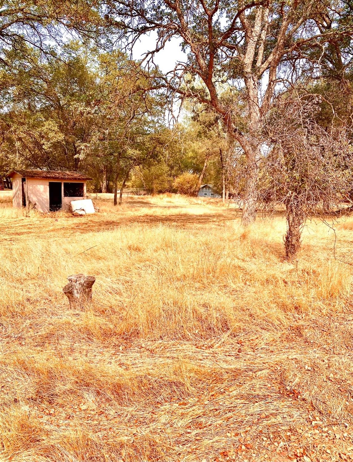 31830 Delaware Road Coarsegold, CA 93614 - Photo 2 of 2 Gallery Image 2