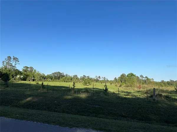 a view of a grassy field with trees